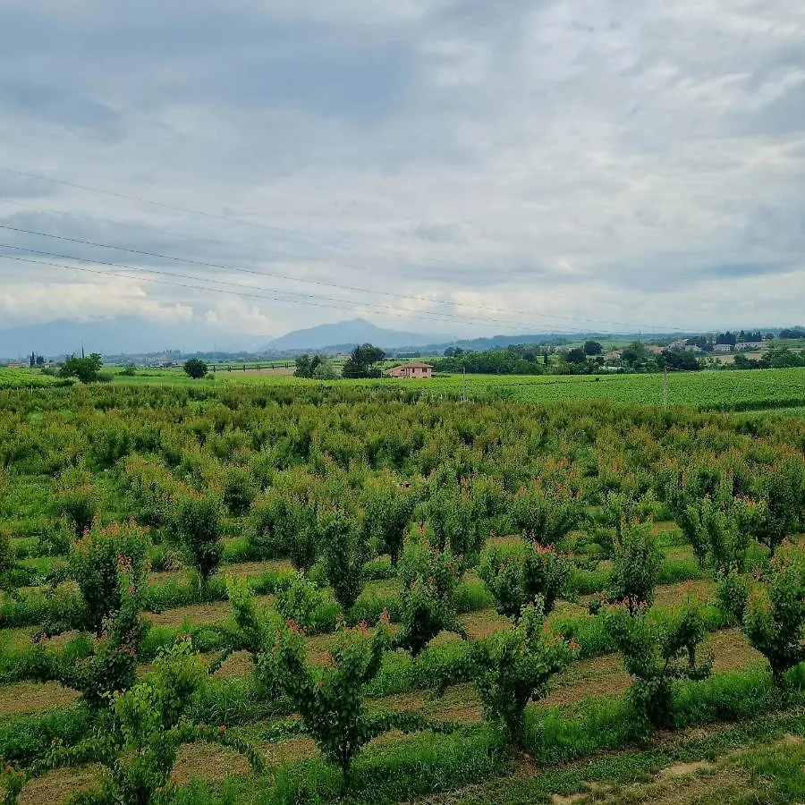 Corte Bottura Agriturismo カステルヌオーヴォ・デル・ガルダ