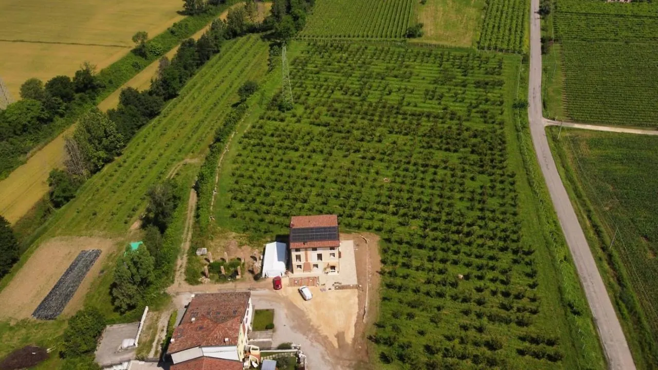 Corte Bottura Agriturismo contacts