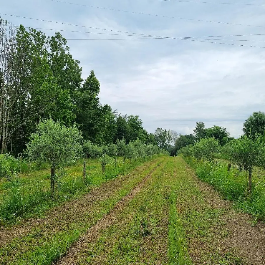 Alloggio per agriturismo Corte Bottura Agriturismo Castelnuovo del Garda