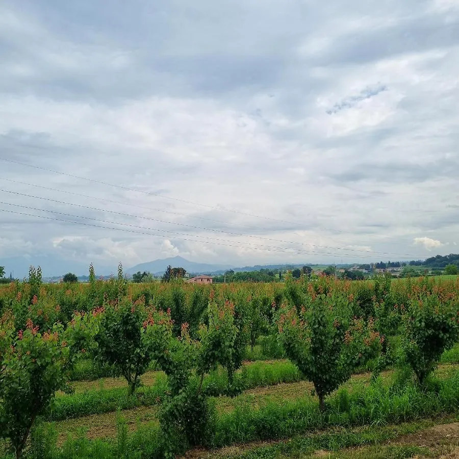 Corte Bottura Agriturismo Castelnuovo del Garda Farm stay